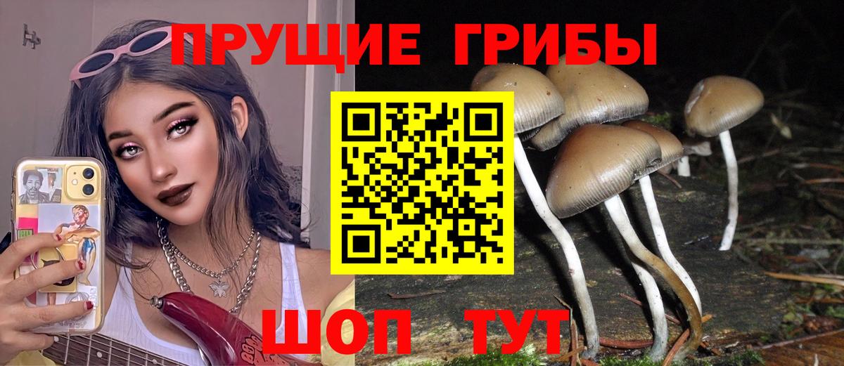 Псилоцибиновые грибы мухоморы  Вход с VPN  где найти   Зима  Псилоцибиновые грибы ЛСД 