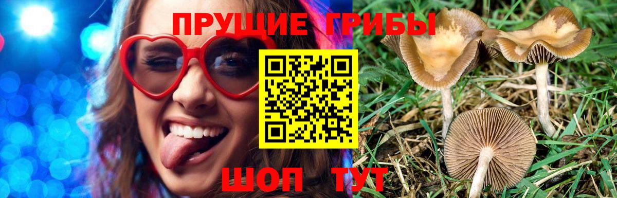 Гашиш  Бошки Шишки  ГАШИШ  Кокаин  Вход с VPN  Кодеин  Зима  МЕФ кристаллы 
